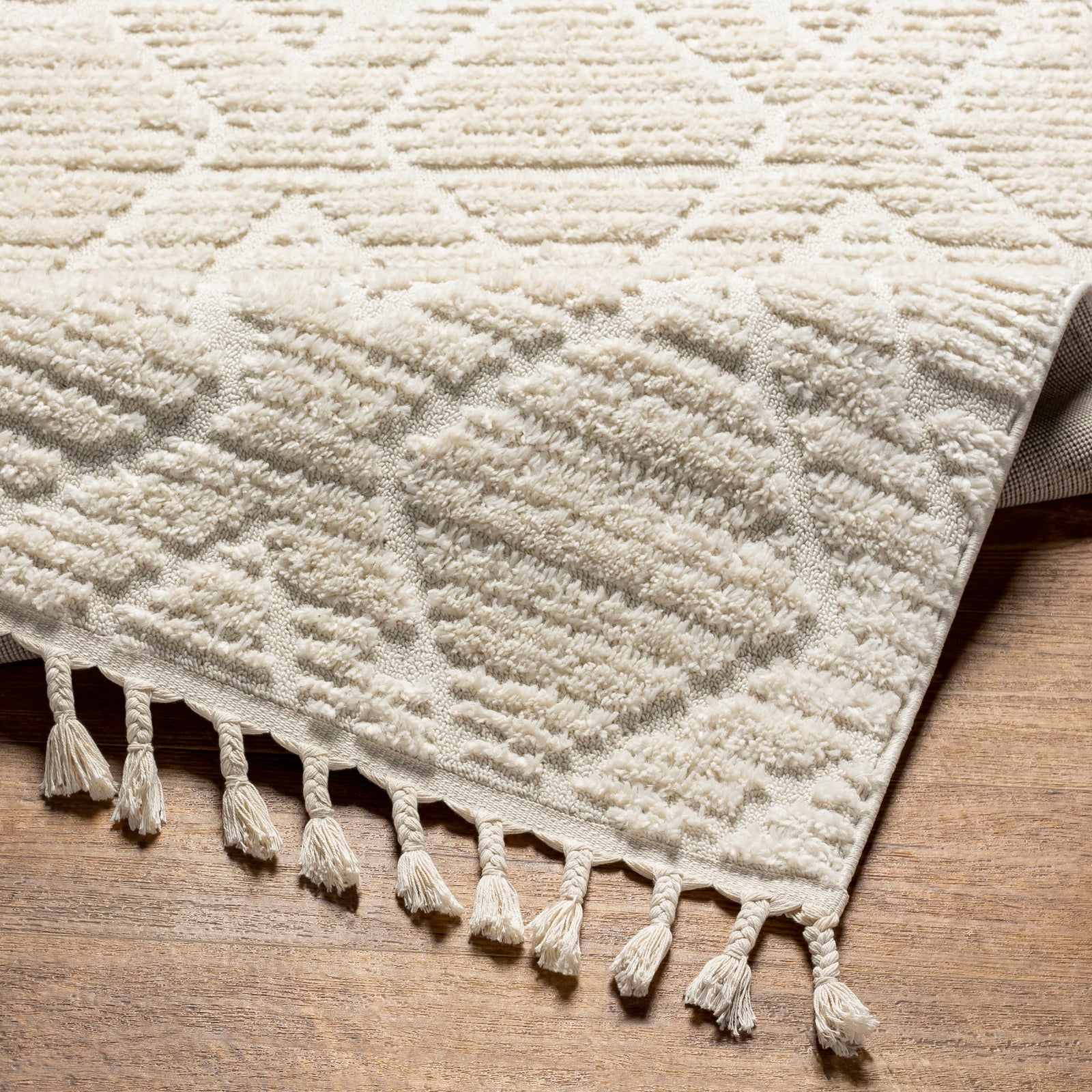 JASMINE Ethnic Berber Area Rug