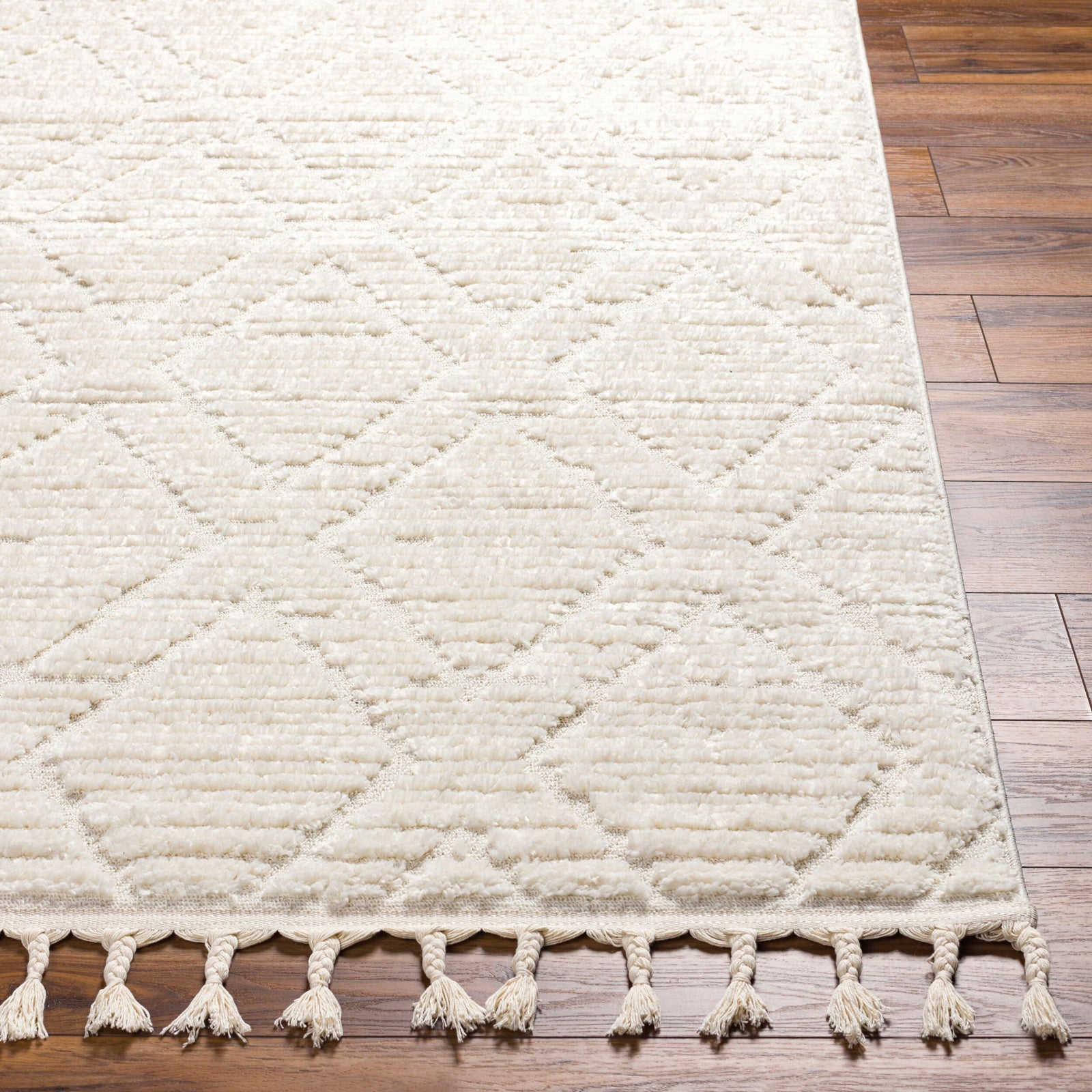 JASMINE Ethnic Berber Area Rug