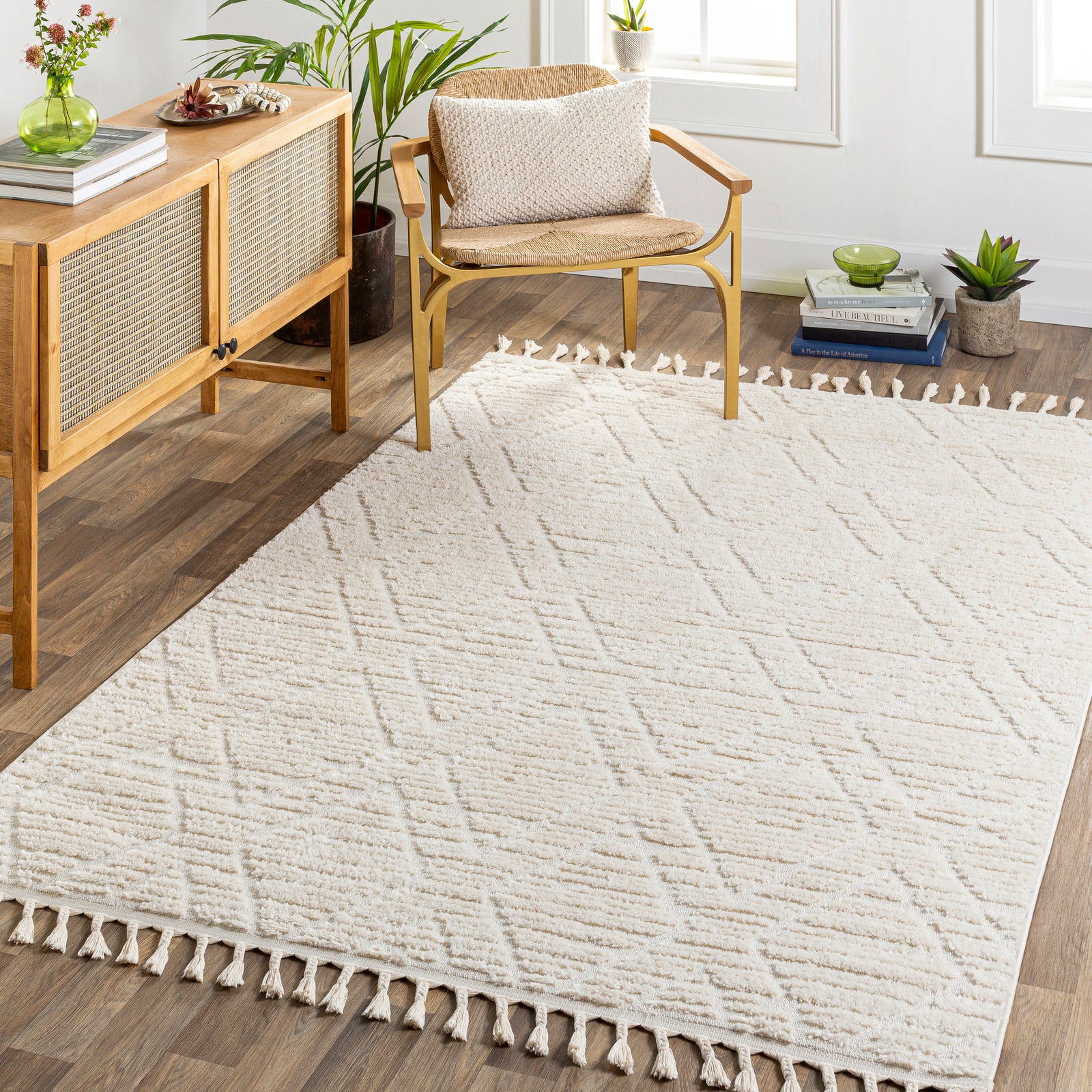JASMINE Ethnic Berber Area Rug