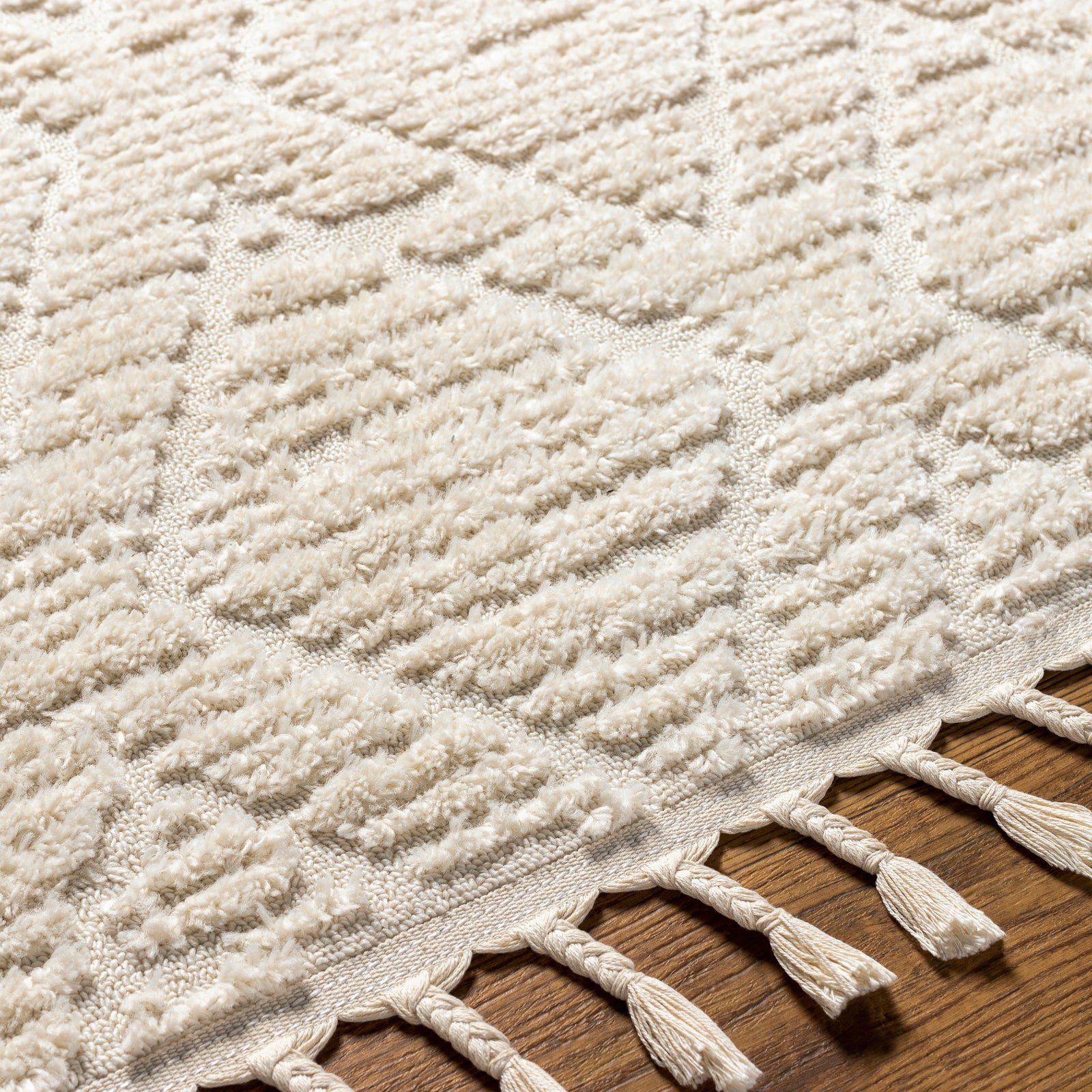 JASMINE Ethnic Berber Area Rug
