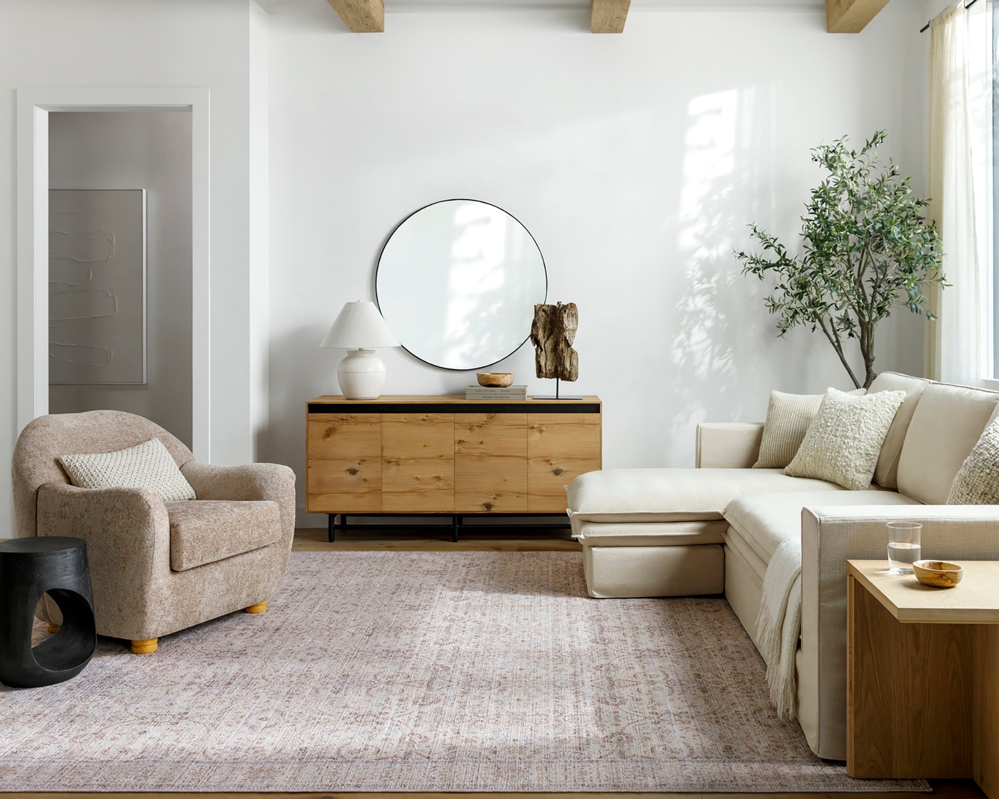GOKILA Oriental Vintage Area Rug