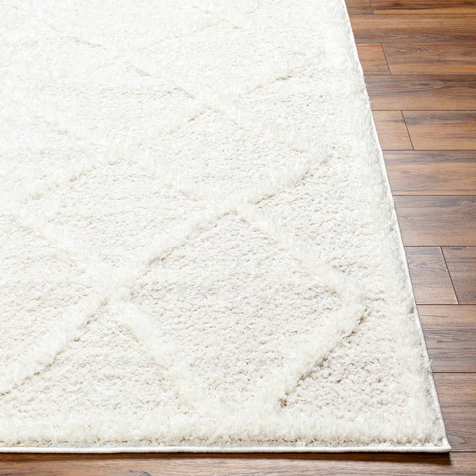 SUMAYA Boho Shaggy Area Rug