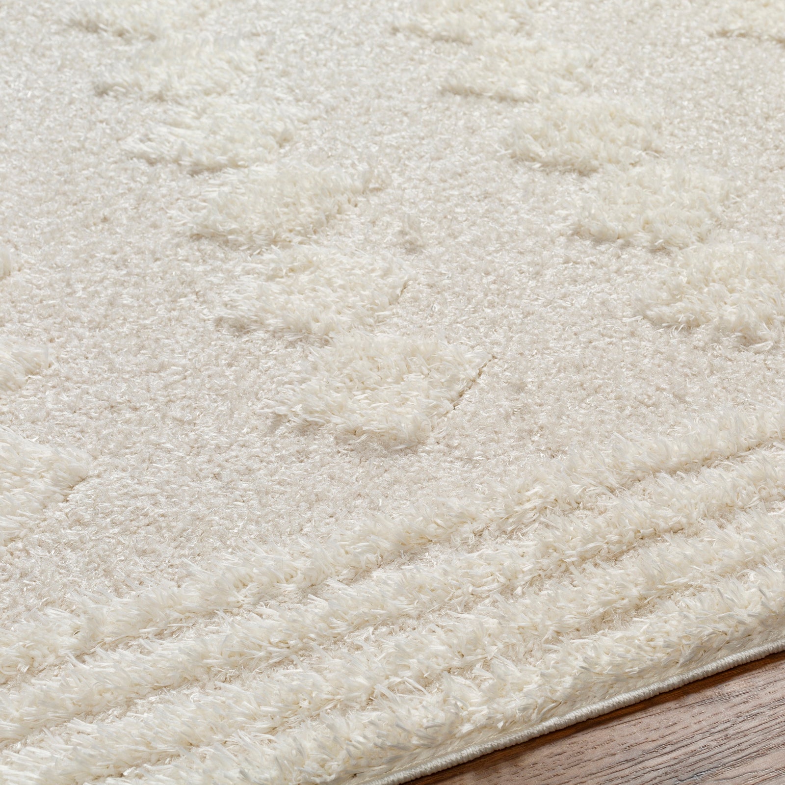 EAHEH Boho Shaggy Area Rug