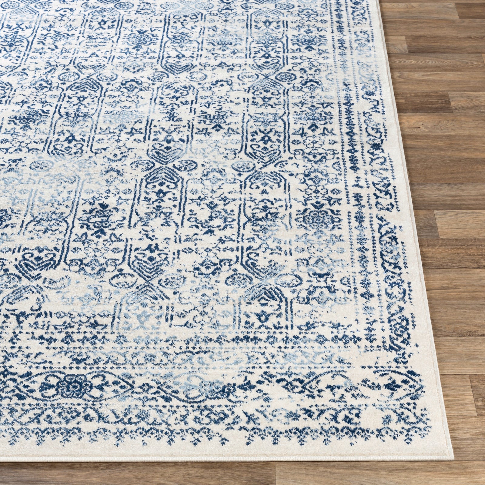VICKY Oriental Vintage Area Rug