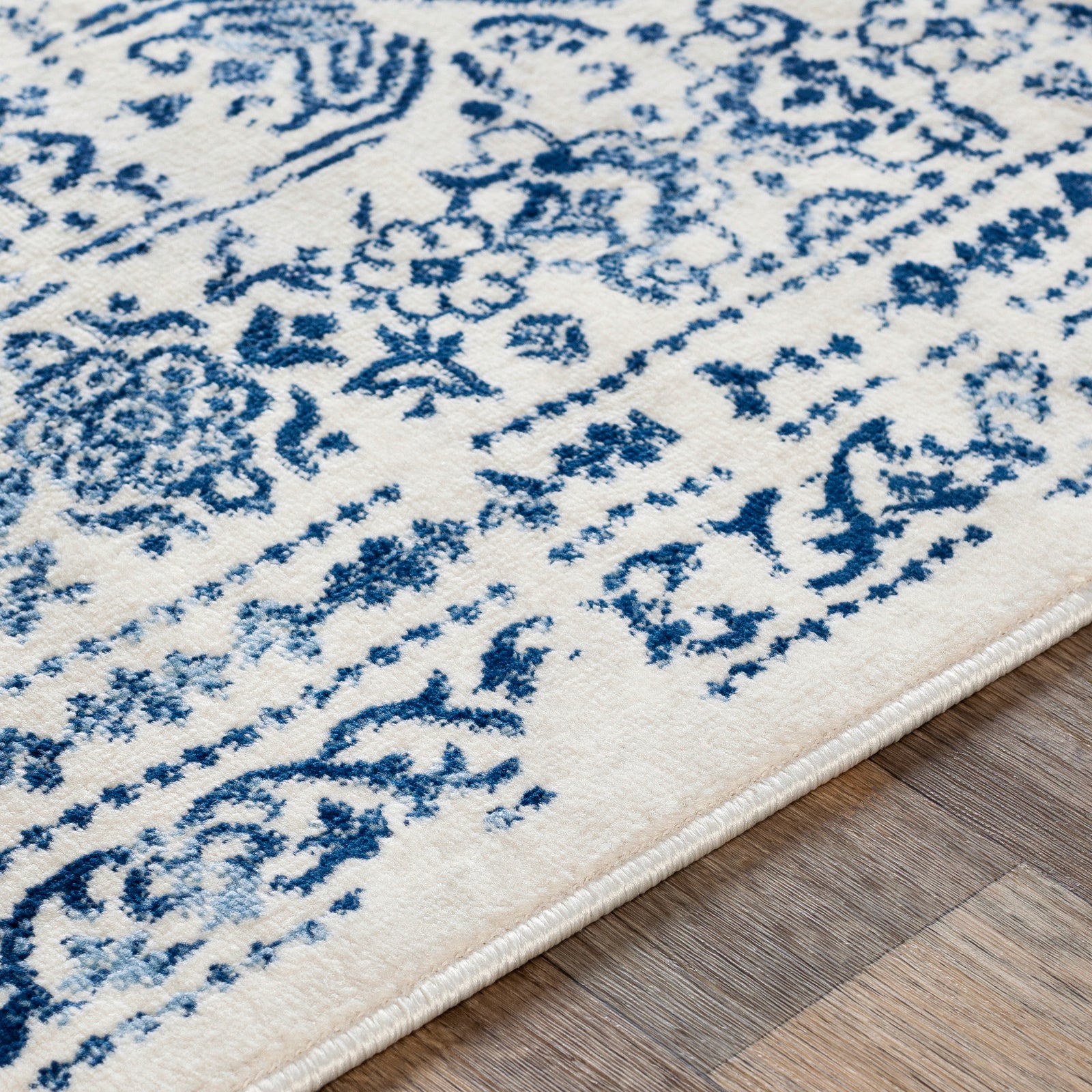 VICKY Oriental Vintage Area Rug