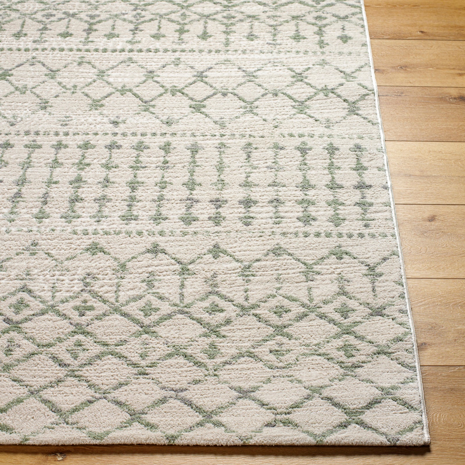 TARYN Ethnic Berber Area Rug