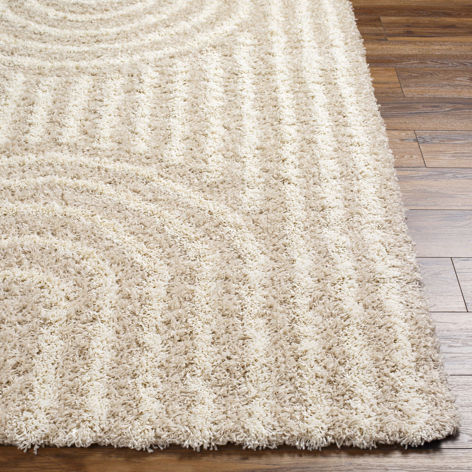 CHRISTINA Modern Shaggy Area Rug