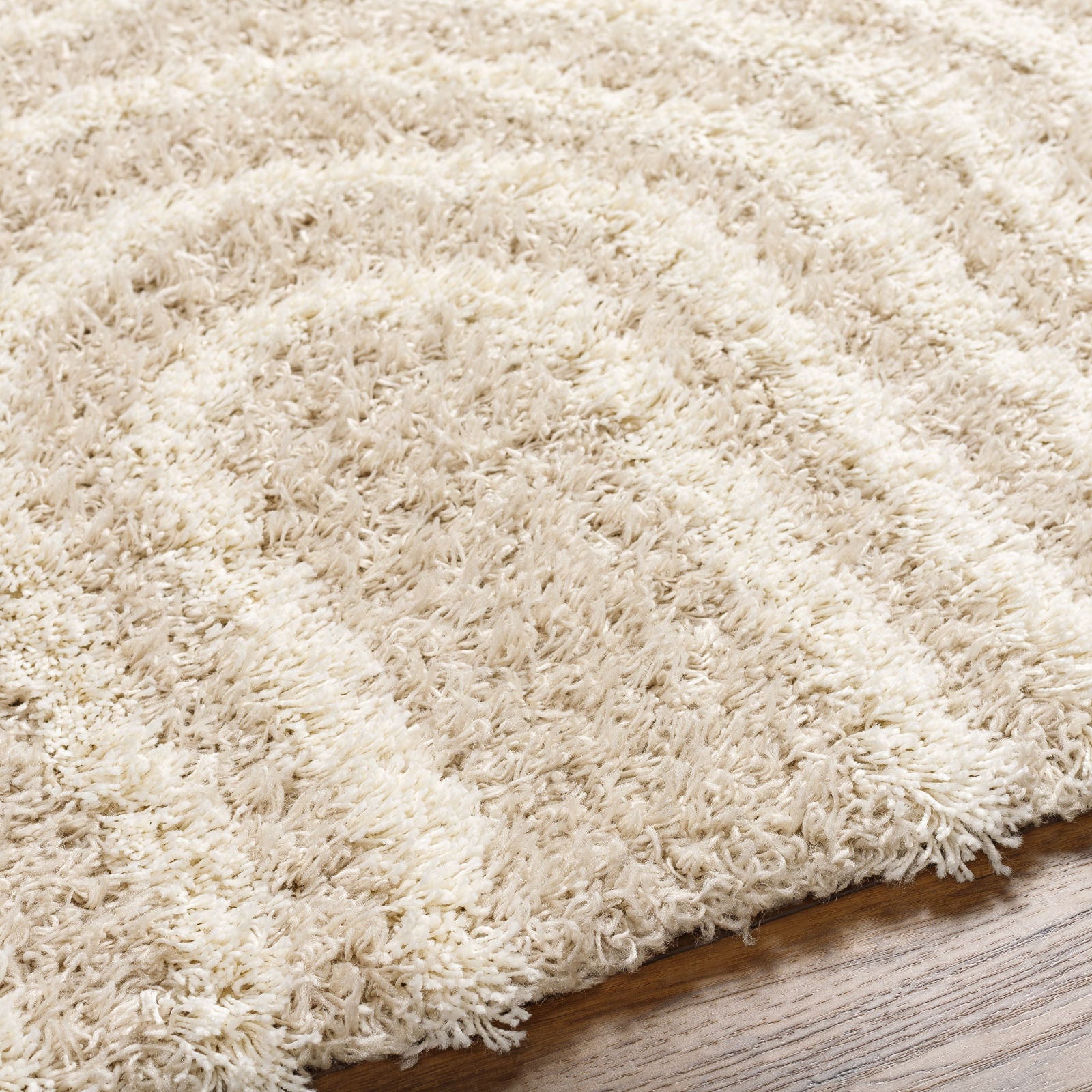 CHRISTINA Modern Shaggy Area Rug