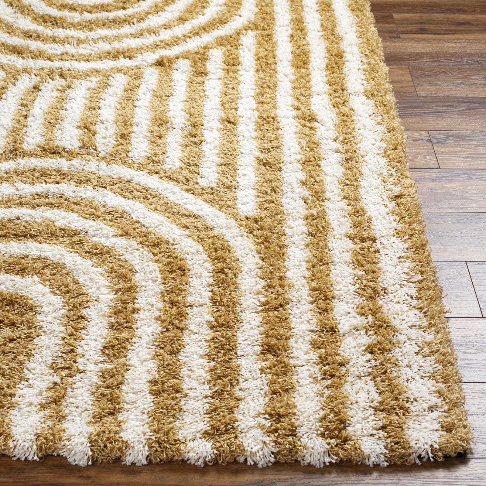 CHRISTINA Modern Shaggy Area Rug