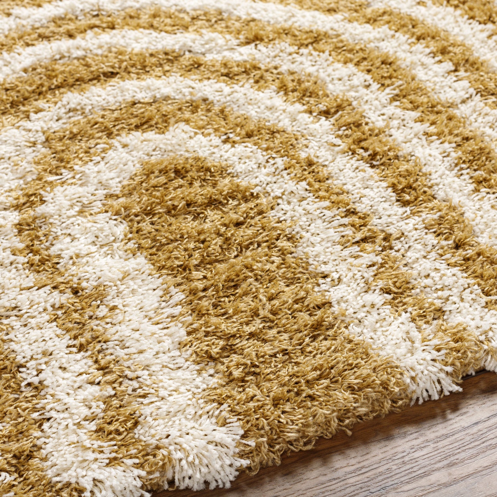 CHRISTINA Modern Shaggy Area Rug