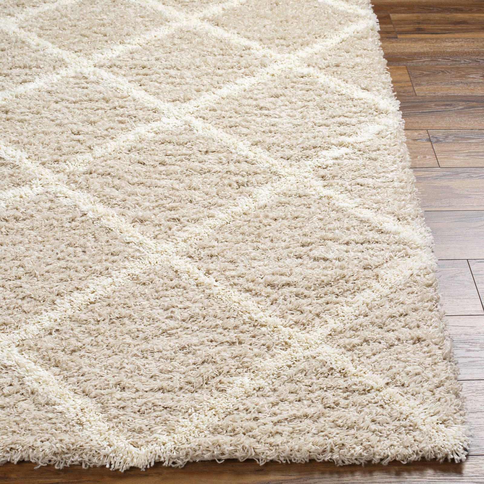 JANE Boho Shaggy Area Rug