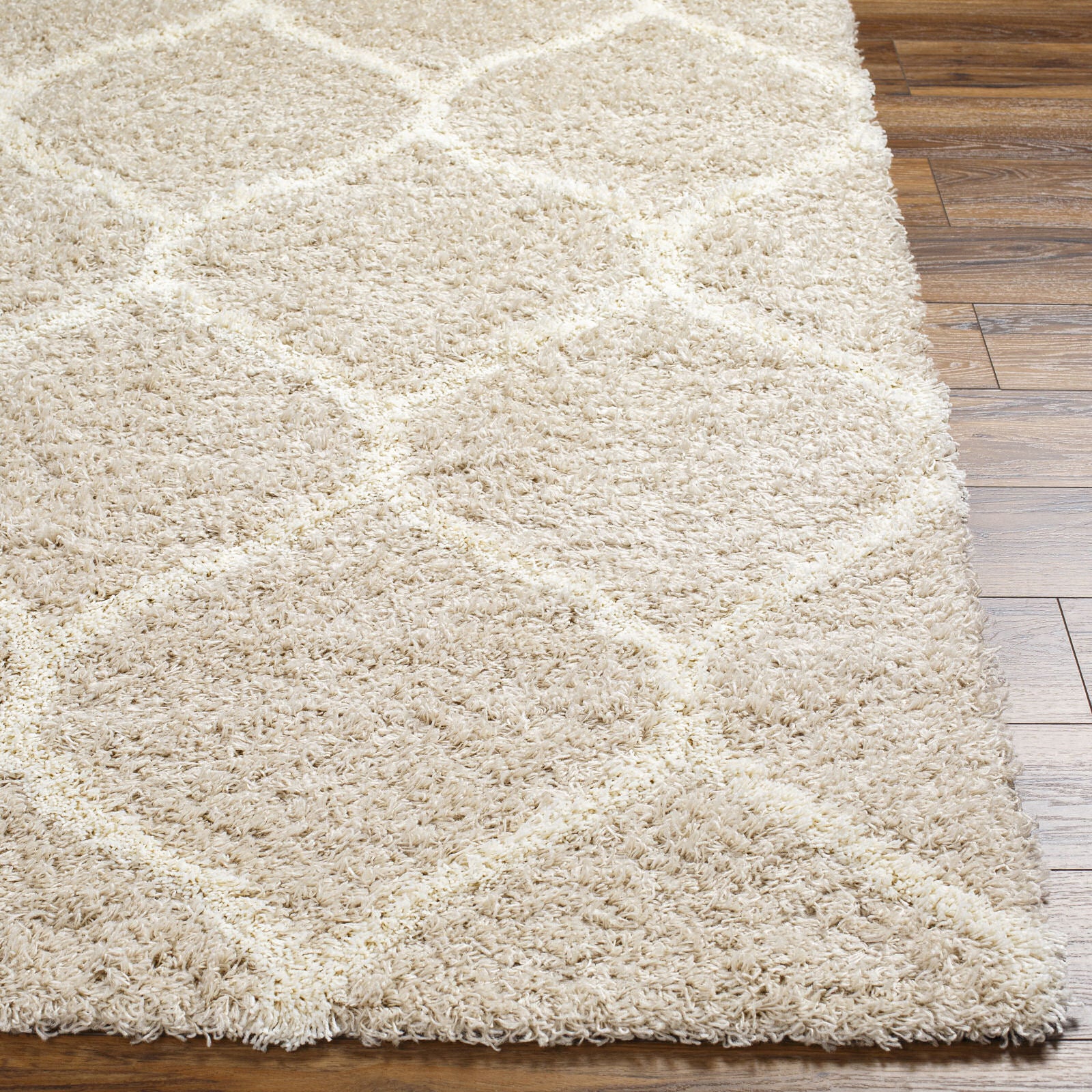 JUDY Oriental Shaggy Area Rug